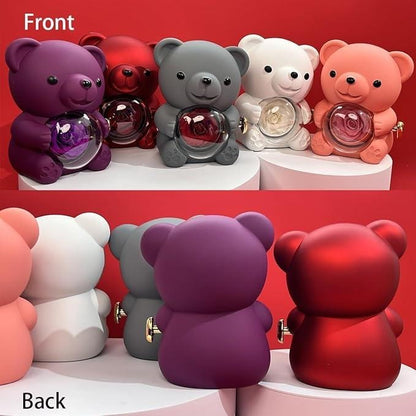 A Teddy Bear with a Hidden Valentine Surprise