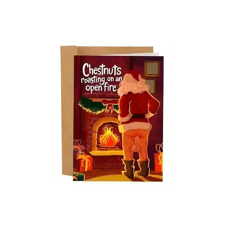 Funny Sarcastic Christmas Cards – Holiday Gag Gift